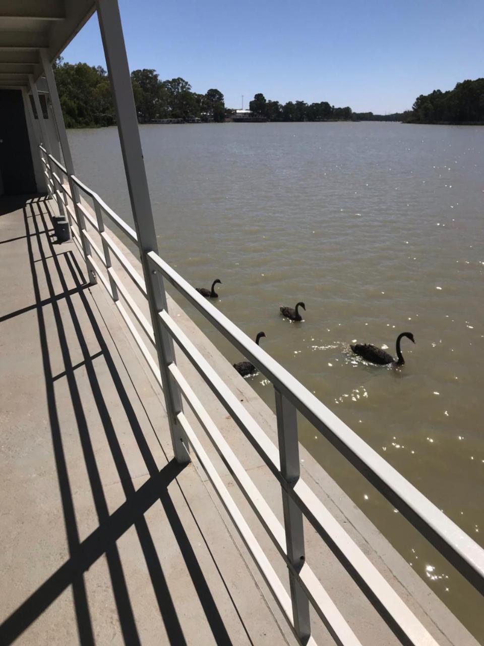Murray River Queen Hotel Ренмарк Екстериор снимка